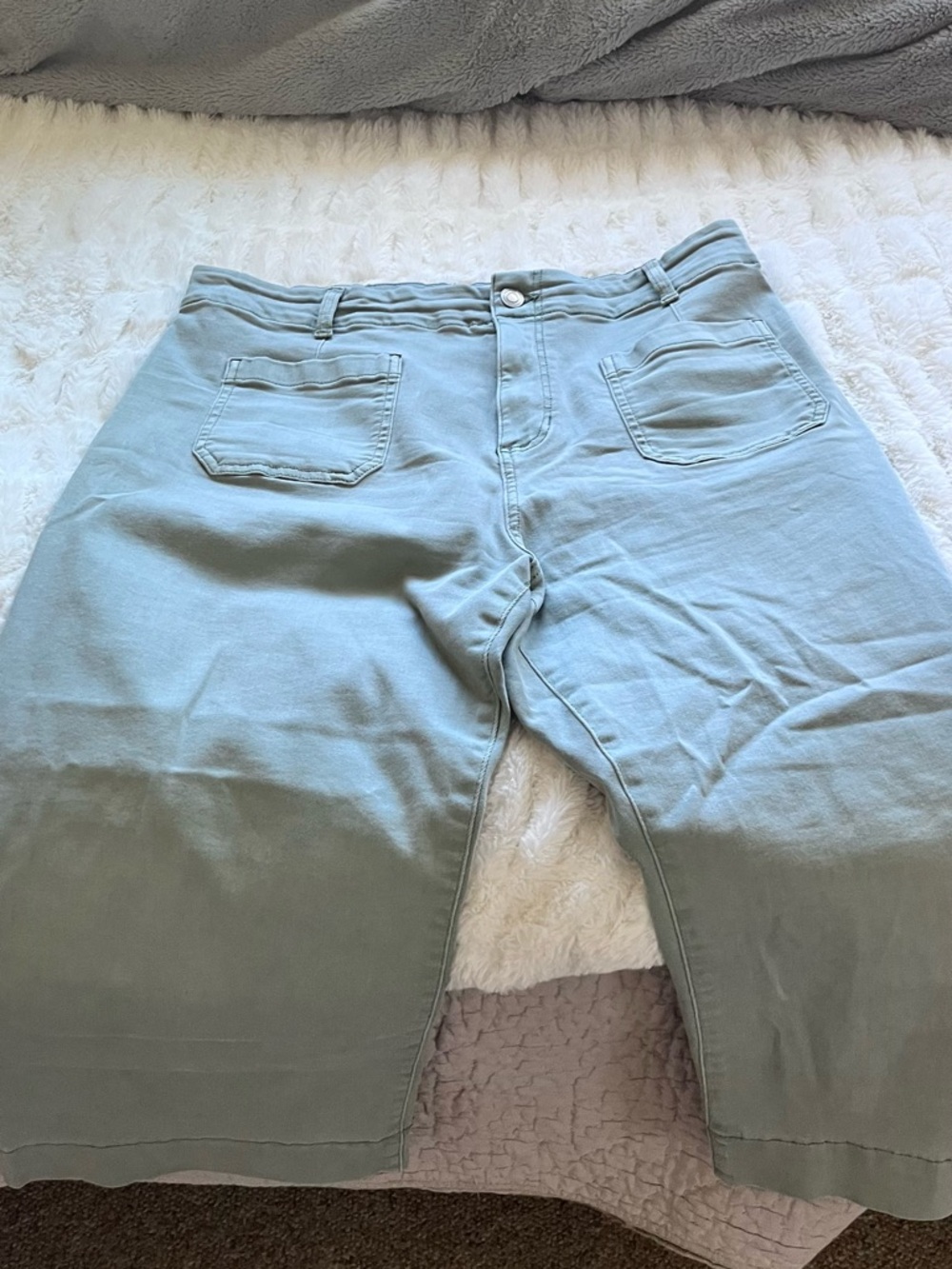 LC Lauren Conrad Sage Green Shorts